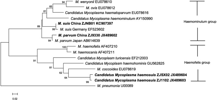 Fig. 4.