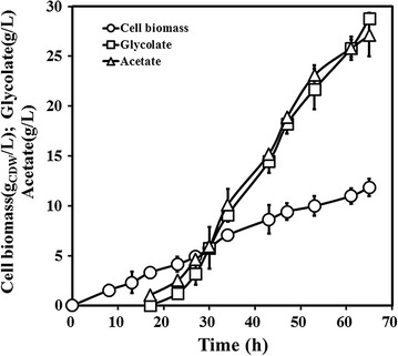 Fig. 3