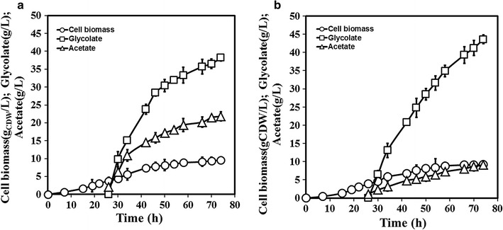 Fig. 4