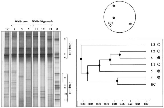 FIG. 6.