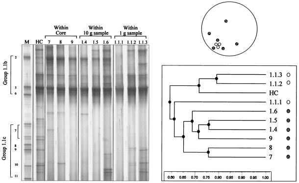 FIG. 7.