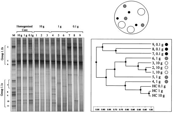 FIG. 5.