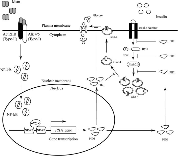 Figure 10.