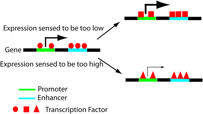 Figure 6