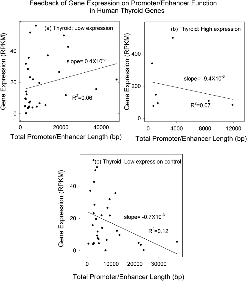 Figure 5