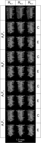 Fig. 13