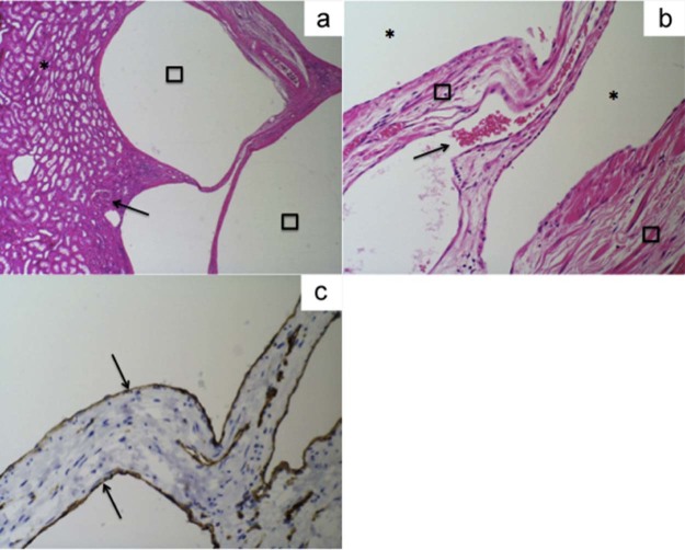 Fig. 7