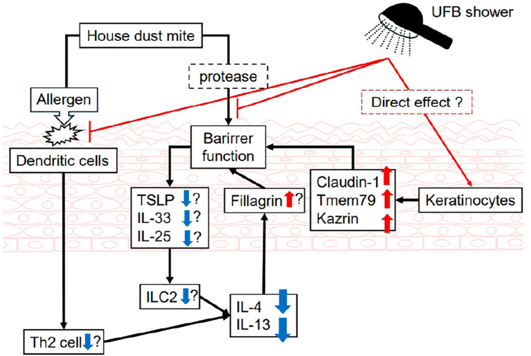 Figure 7