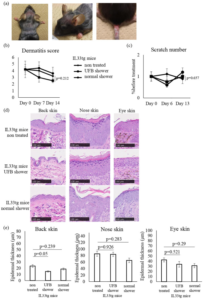 Figure 5