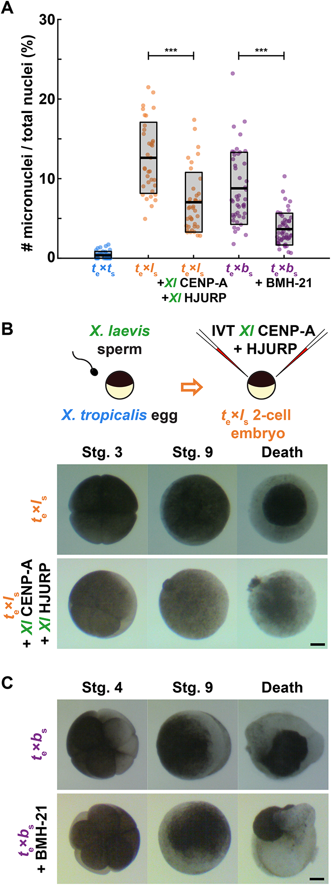 Figure 6: