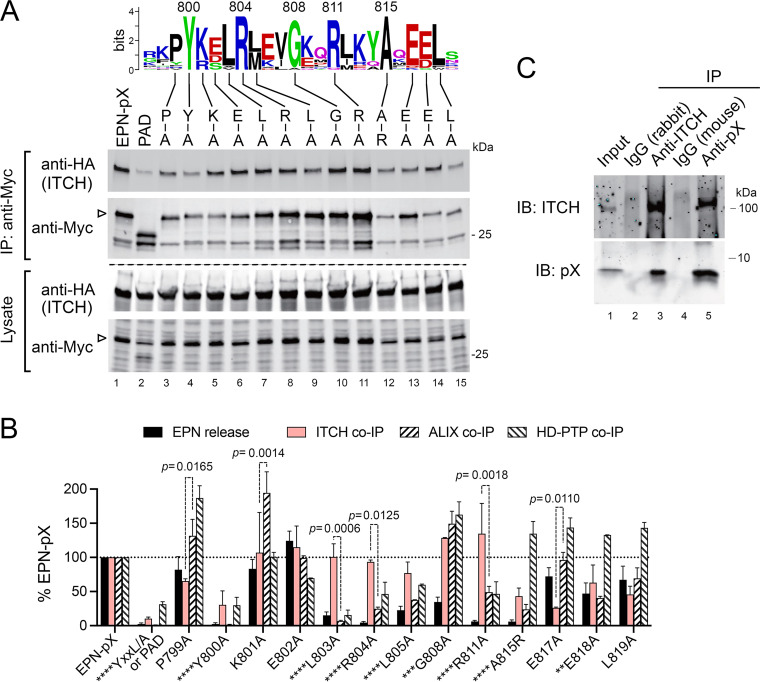 FIG 3