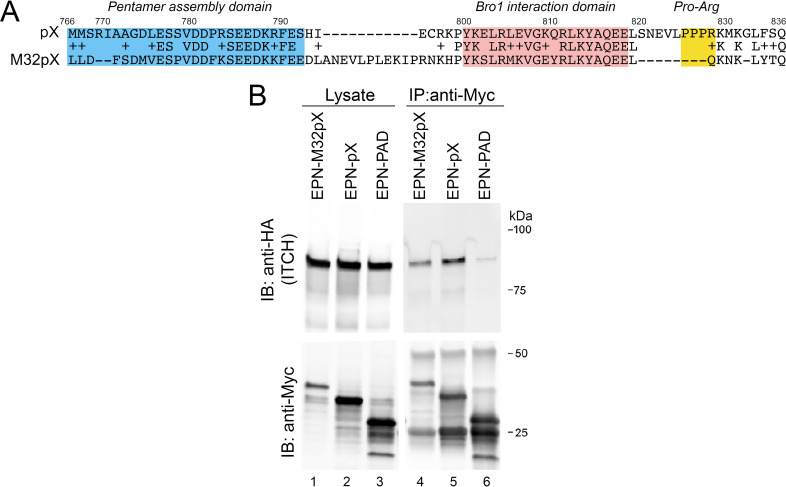 FIG 2