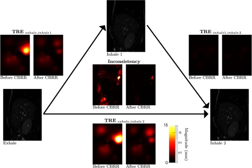 Fig. 11