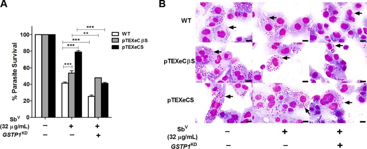 FIG 6