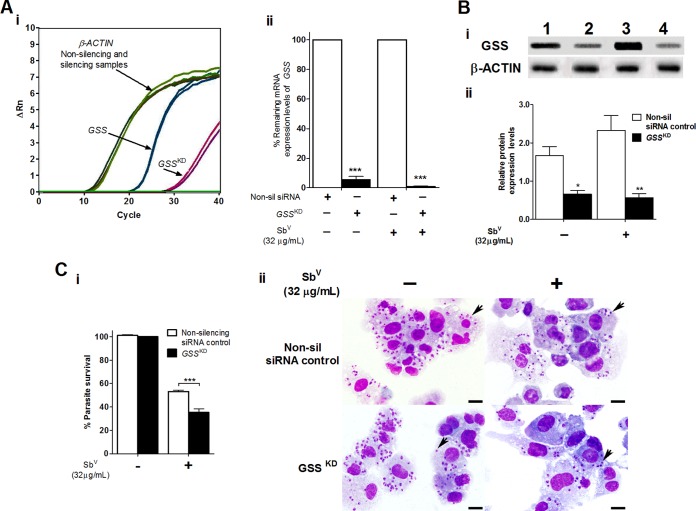 FIG 4