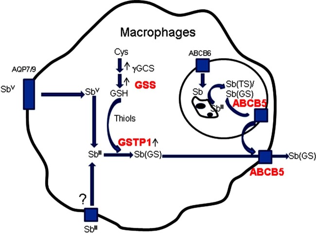 FIG 7