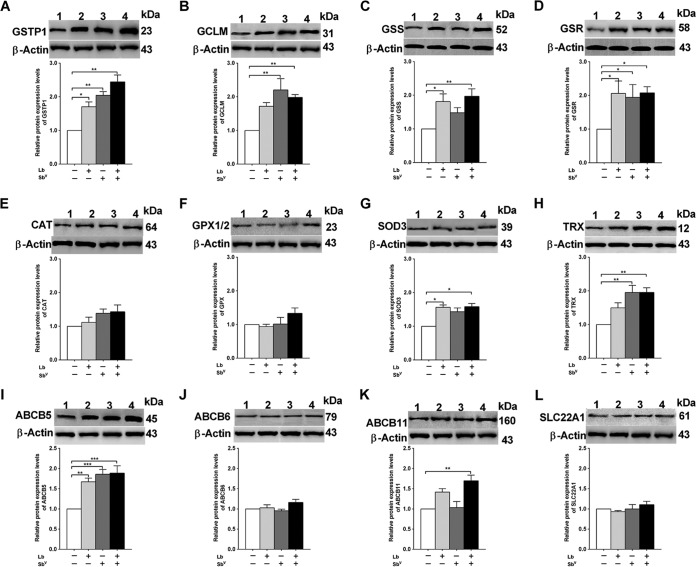 FIG 2