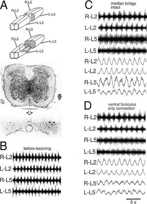 Fig. 8.