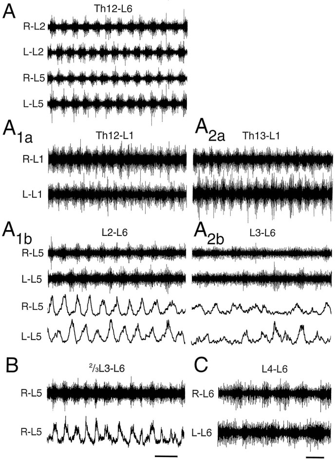 Fig. 9.