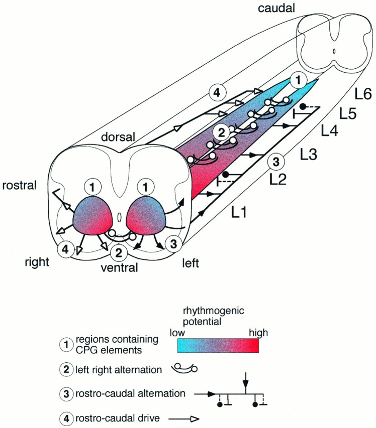 Fig. 10.