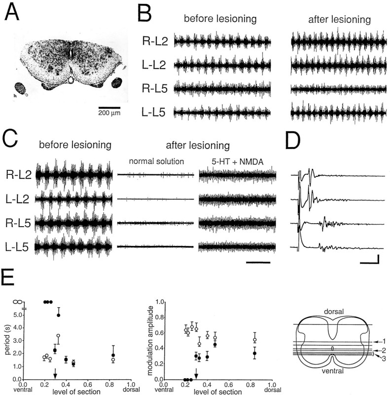 Fig. 2.