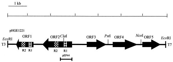 FIG. 1