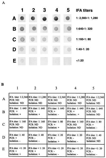 FIG. 9