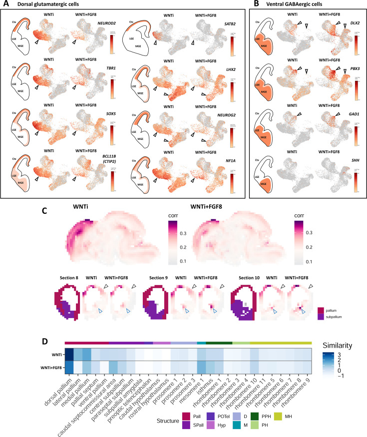 Figure 4—figure supplement 1.