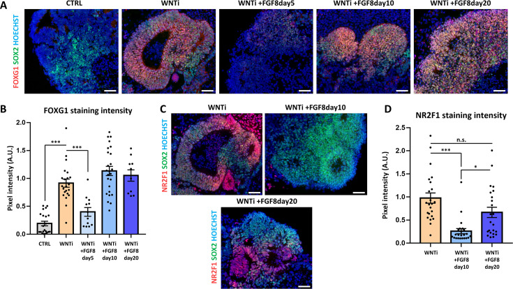 Figure 2—figure supplement 1.