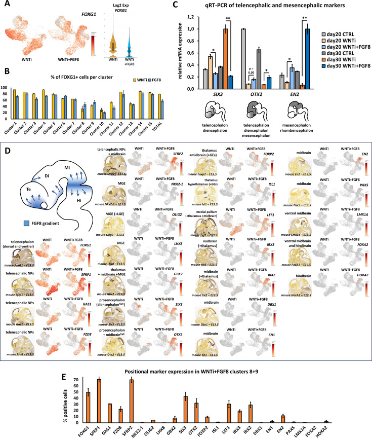 Figure 3—figure supplement 2.