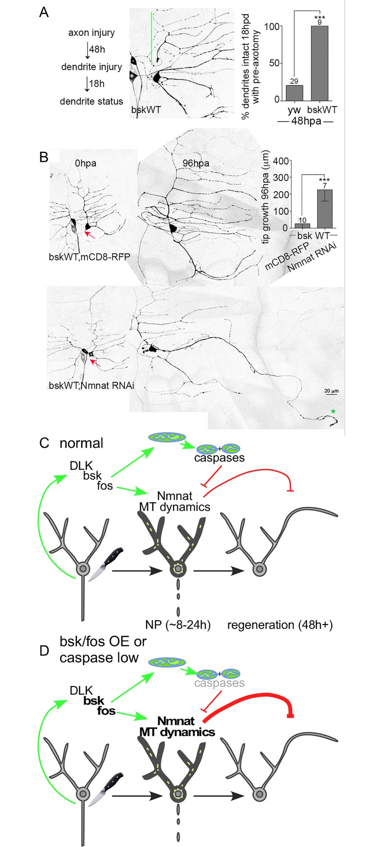 Fig 8