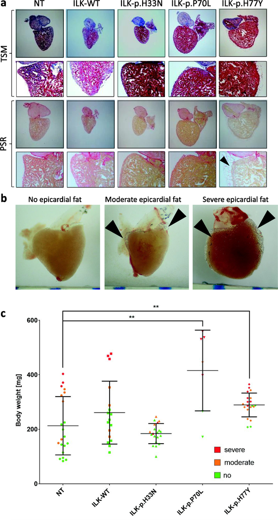 Figure 5.