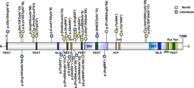 Fig. 1