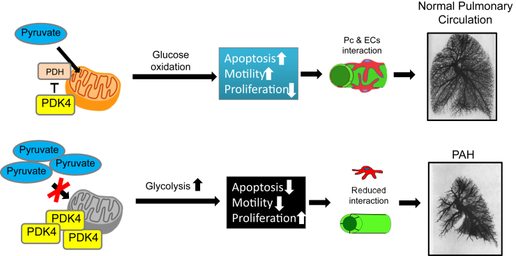 Figure 7