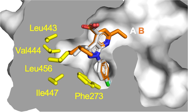 Figure 4