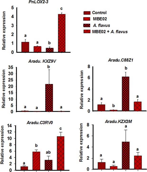 Figure 7