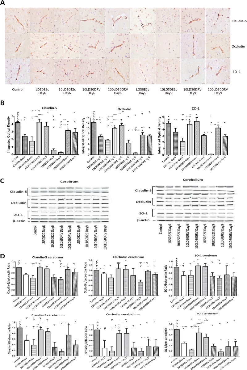 FIG 2