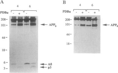 graphic file with name pnas01147-0236-a.jpg