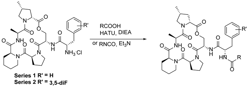 Scheme 1.