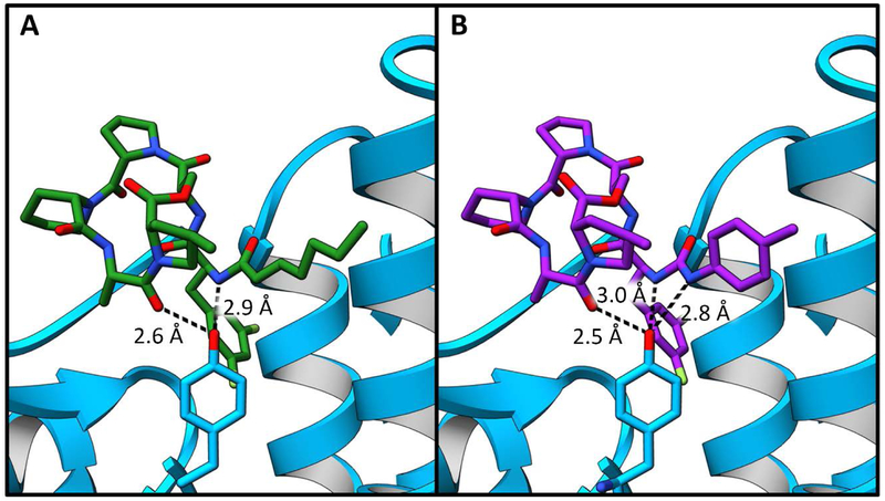 Figure 7.