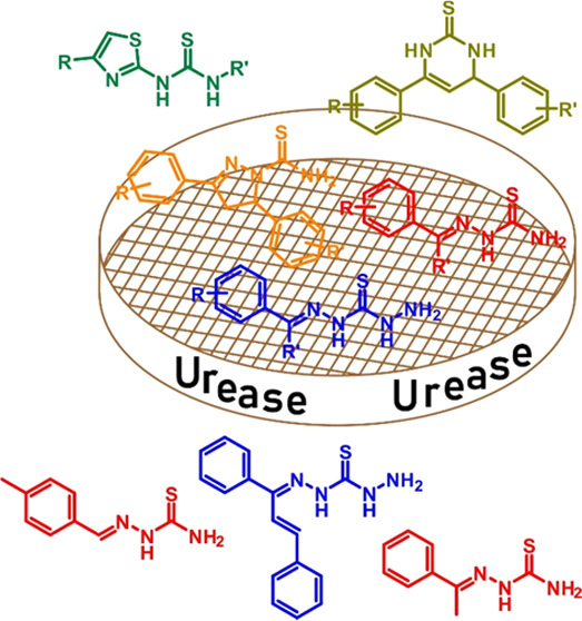 Exploration Of Thiourea-Based Scaffolds For The Construction Of ...