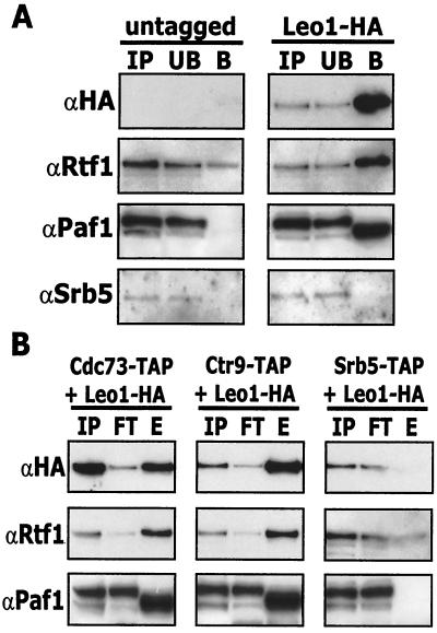 FIG. 5.