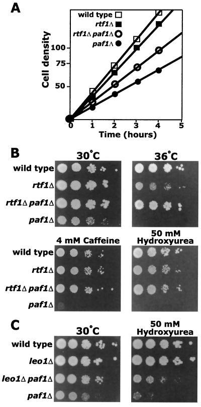 FIG. 7.