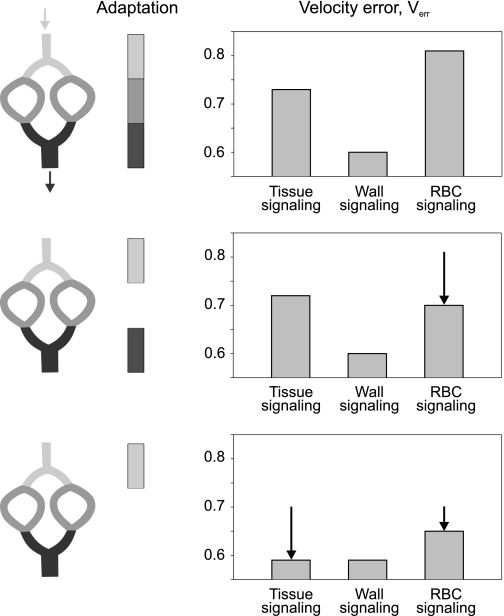 Fig. 8.