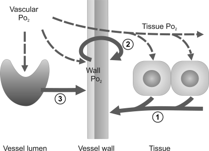 Fig. 1.