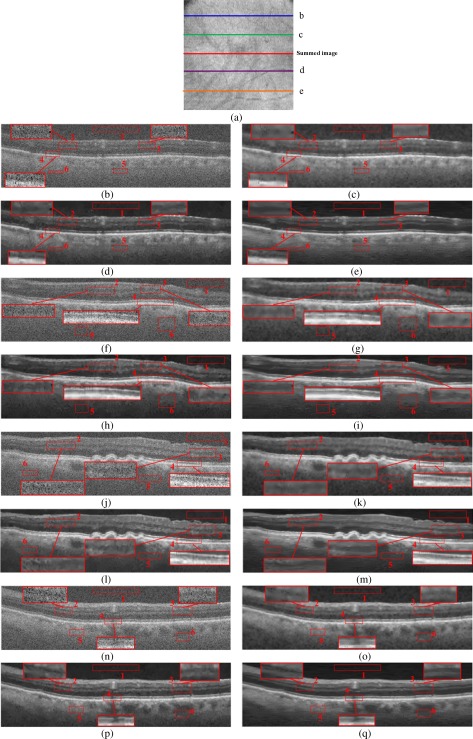 Fig. 8