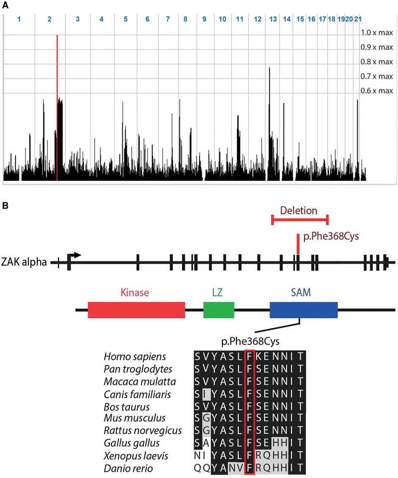 Figure 2.