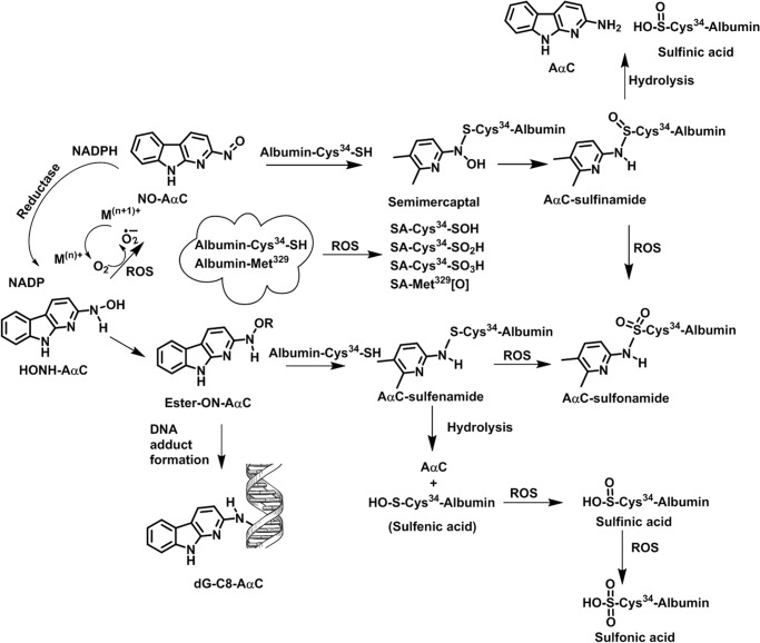 FIGURE 1.