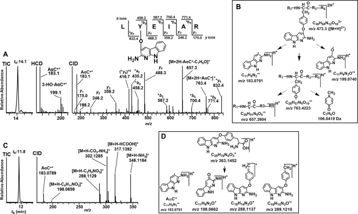 FIGURE 6.