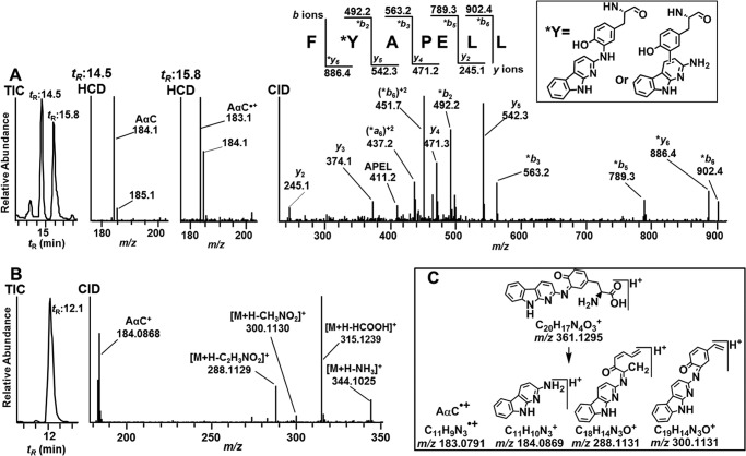 FIGURE 7.